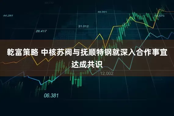 乾富策略 中核苏阀与抚顺特钢就深入合作事宜达成共识