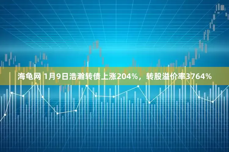 海龟网 1月9日浩瀚转债上涨204%，转股溢价率3764%