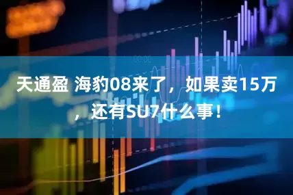 天通盈 海豹08来了，如果卖15万，还有SU7什么事！